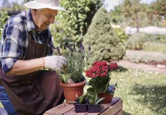 Les jardins thérapeutiques participent au bien-être des résidents et des soignants