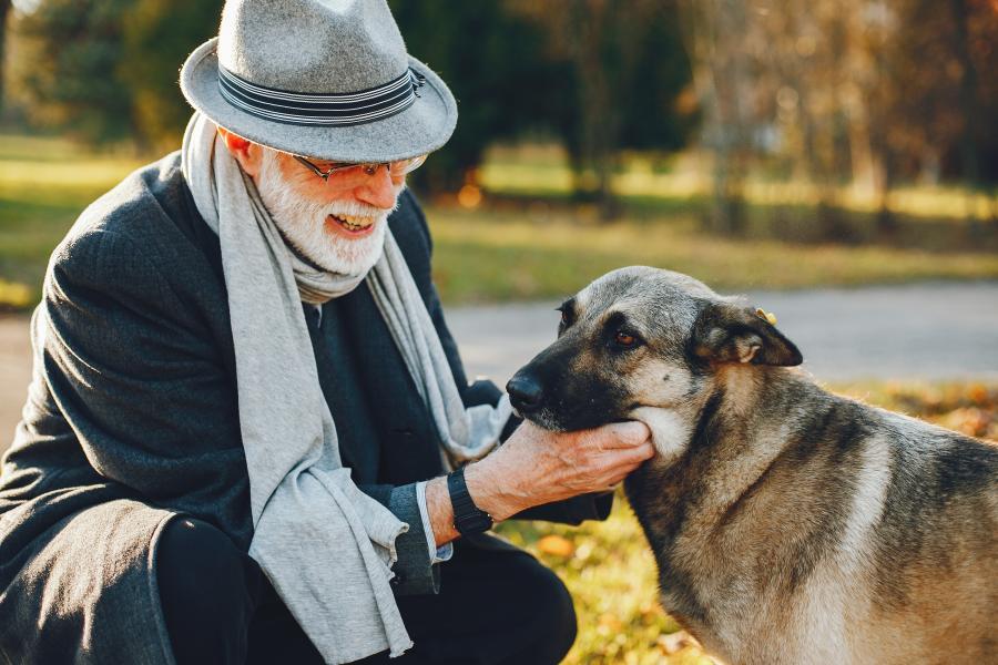 Senior et animal de compagnie