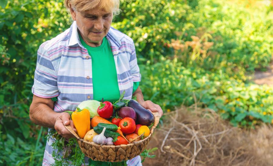 La semaine du « Manger bio et local, c’est l’idéal » à Lyon du 22 au 28 septembre 2014