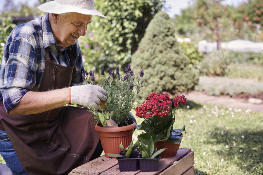 Les jardins thérapeutiques participent au bien-être des résidents et des soignants