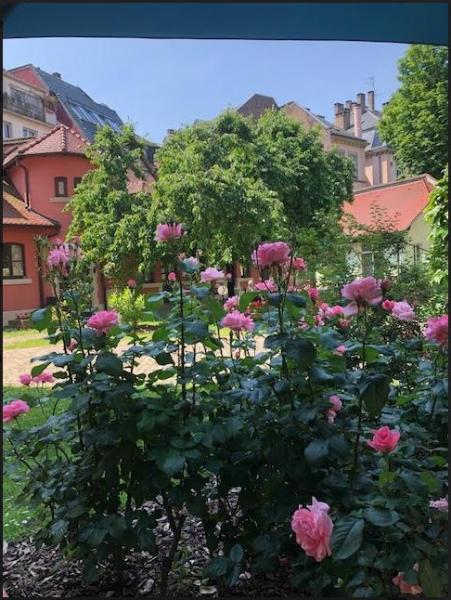 Les Jardins d’Alsace | résidence SérényS