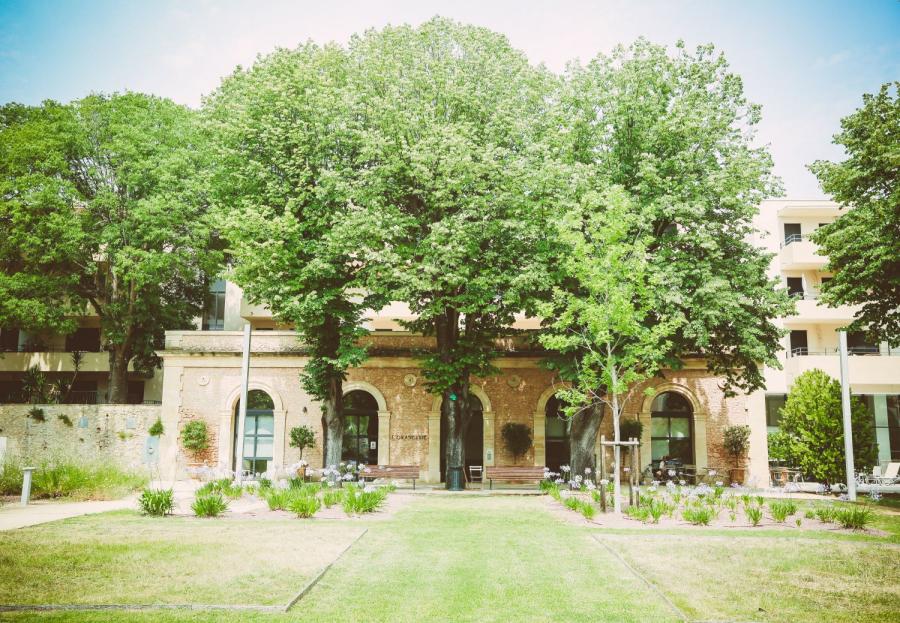 L'Orangerie du Château Levat