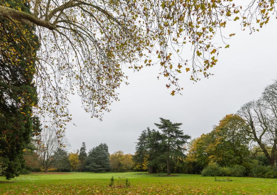 Les Jardins d'Arcadie de Domont