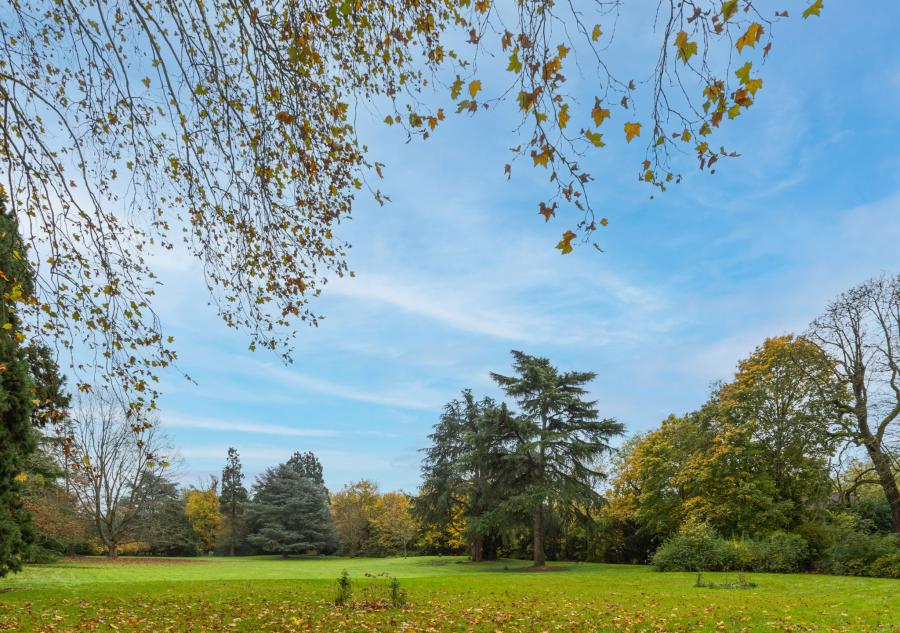 Les Jardins d'Arcadie de Domont